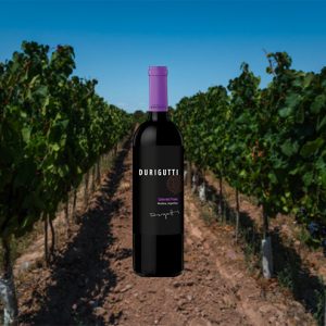 Durigutti - Cabernet franc